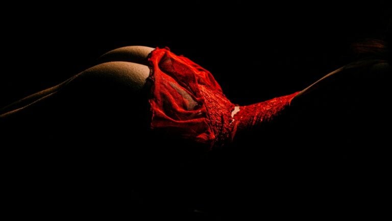 Une paire de fesses bien rebondies est photographiée dans de la lingerie flamboyante et sexy. Le corps est dans une position idéale pour une double pénétration.